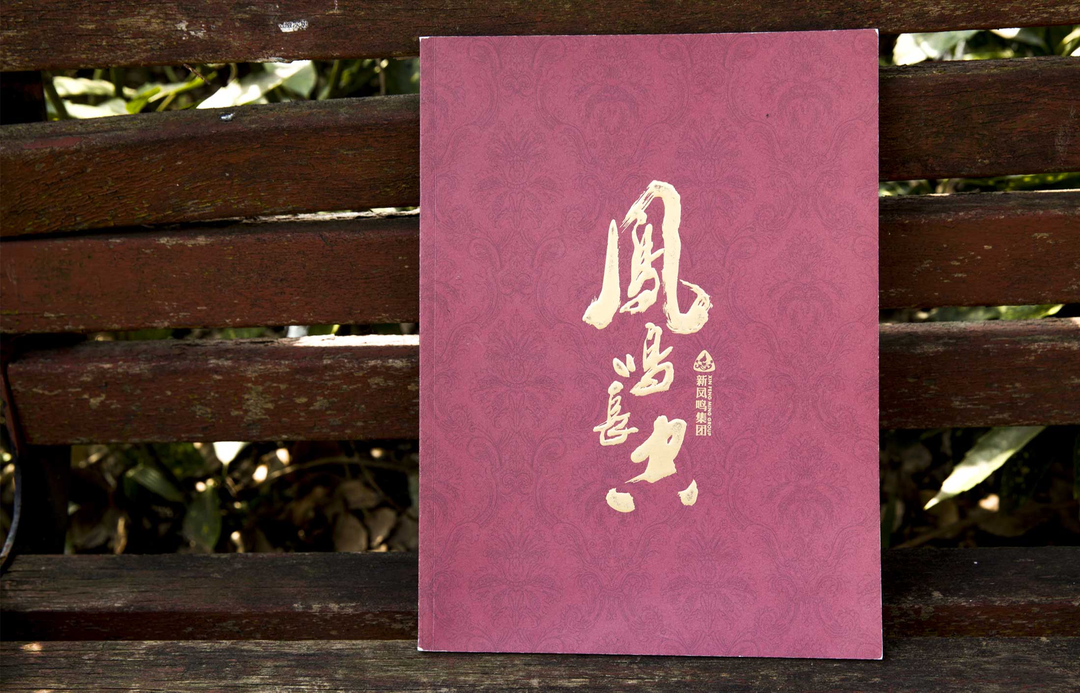 新鳳鳴集團(tuán)畫冊